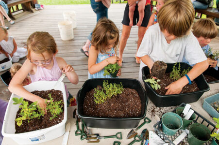 Fairy Gardening in Containers